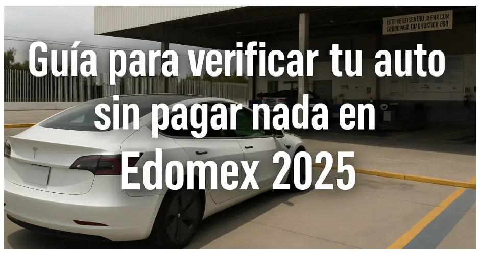guia-para-verificar-tu-auto-sin-pagar-nada